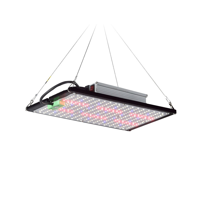 Plant Grow Light Full Spectrum - LED 퀀텀보드 식물 재배 조명, 실내