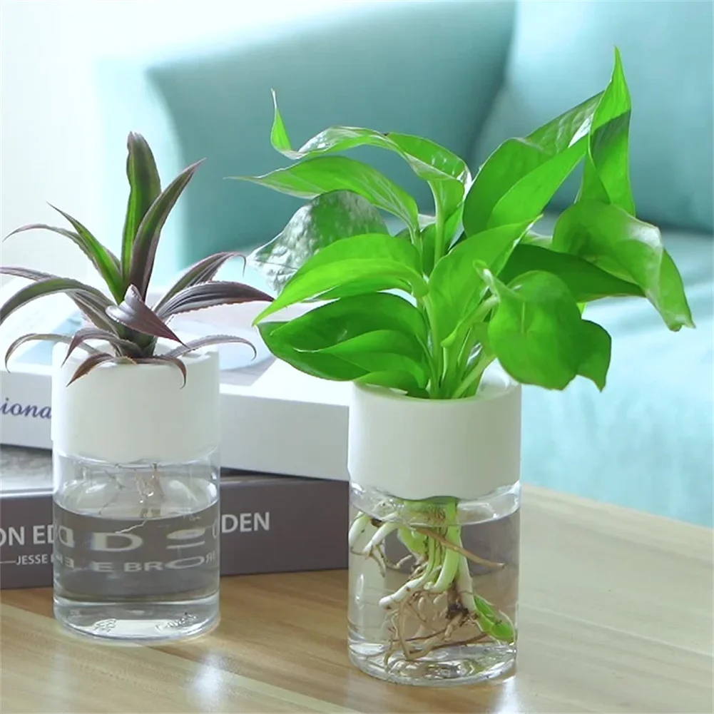 Hydroponic Grow Pod - 미니 수경 재배 화분 투명 무토양