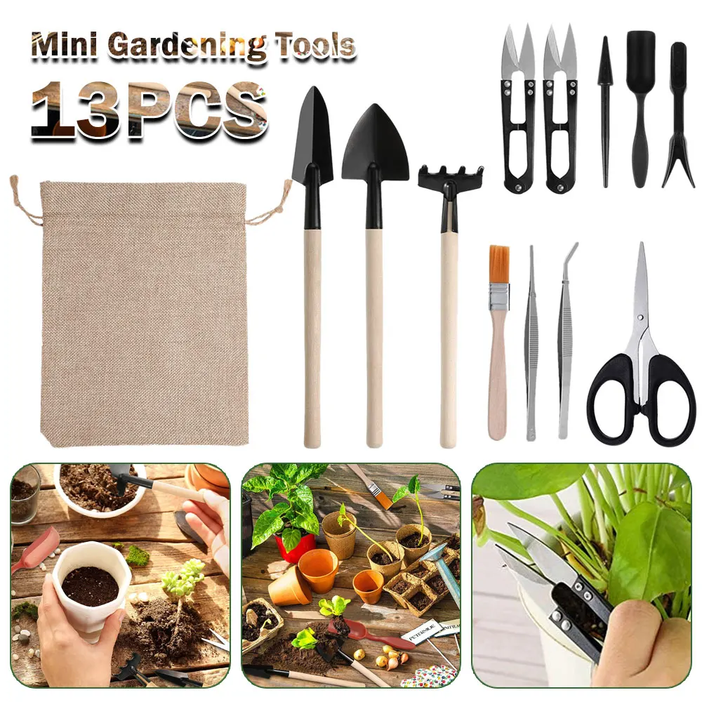 Indoor Garden Kit - 다육 식물 도구 세트, 실내 식물