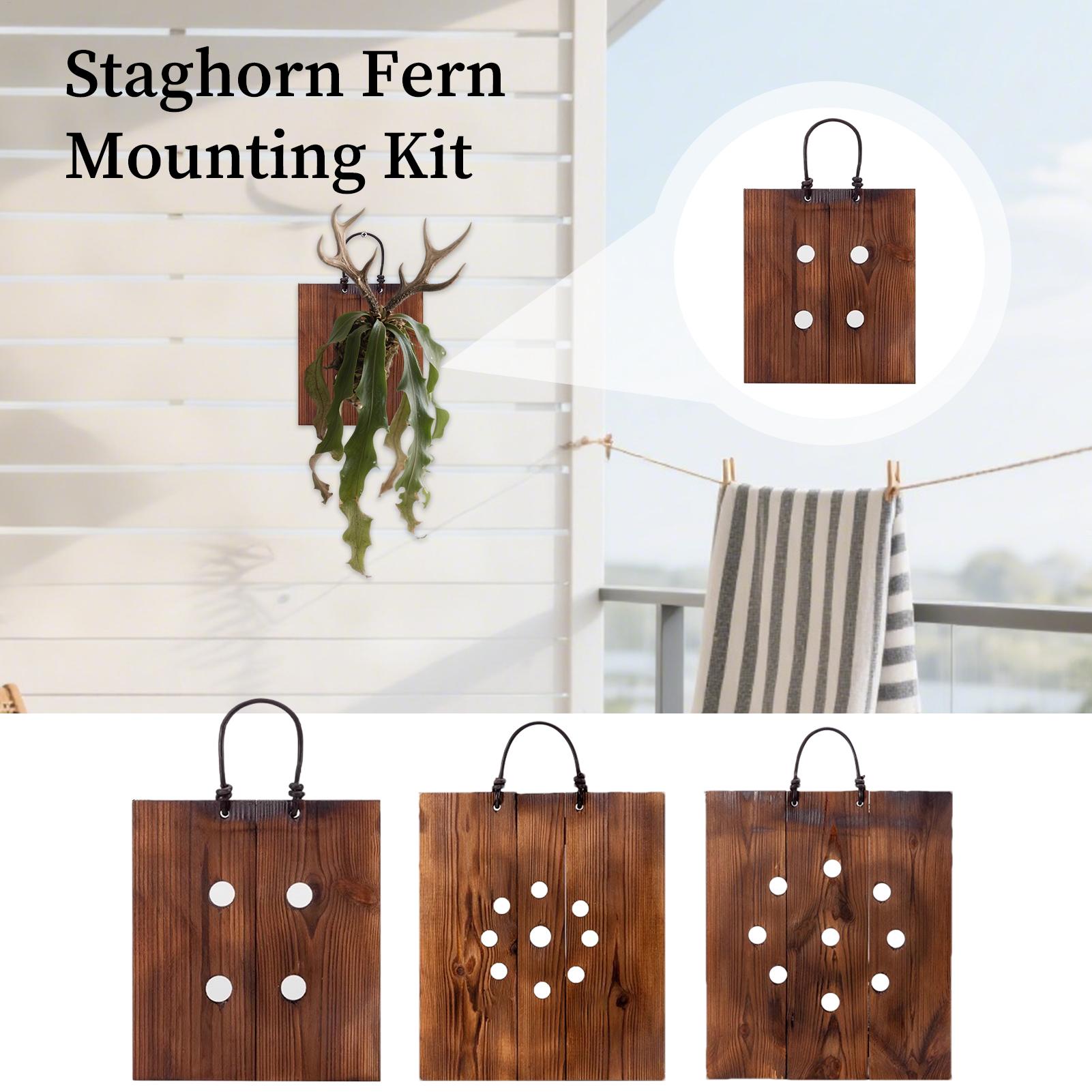 Indoor Garden Kit - 스테이그혼 펀 벽걸이형 나무 화분 키트