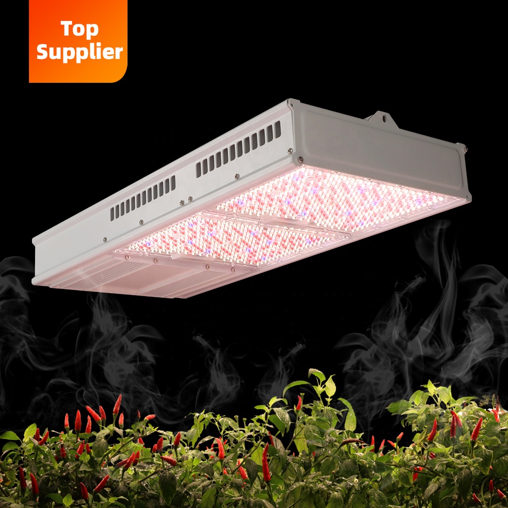 비용 효율적인 600W 800W 탑라이트 풀 스펙트럼  - Plant Grow Light Full Spectrum 리뷰 및 가격