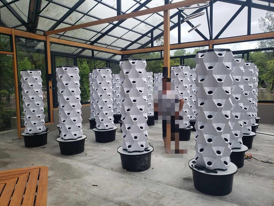 온실 수직 농업 수경 재배 타워 정원 수직 수경 시스템 - Hydroponic Tower 리뷰 및 가격