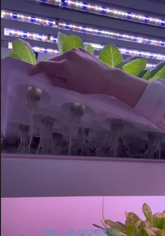 온실 농업 장비 버섯 채소 과일 재배 수직 농장 수경  - Hydroponic Tower 리뷰 및 가격