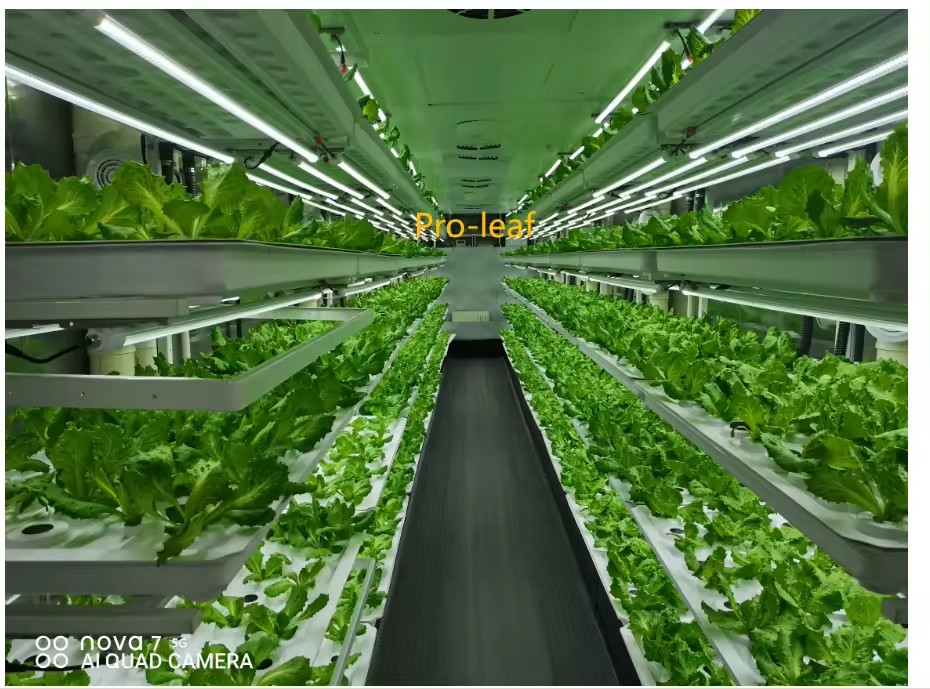 온실 농업 장비 버섯 채소 과일 재배 수직 농장 수경  - Hydroponic Tower 리뷰 및 가격
