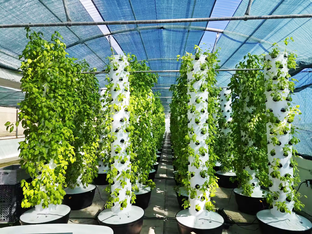 고품질 간편 설치 소형 수직 수경 재배 타워 시스템 온 - Hydroponic Tower 리뷰 및 가격