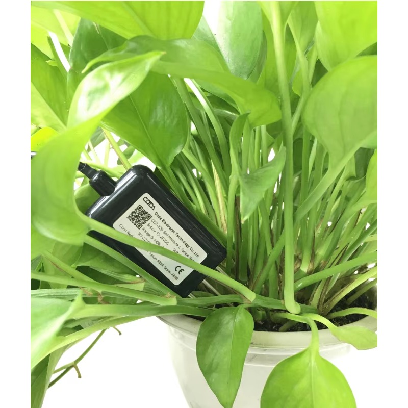 CDT-30B Rs485 0-2v 출력 식물 토양 수분 - Plant Sensor 리뷰 및 가격