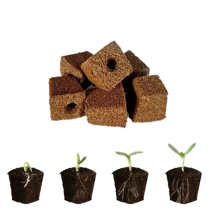 수경 실내 정원 시스템용 묘목 스타터 스펀지 키트, 성 - Indoor Garden Kit 리뷰 및 가격