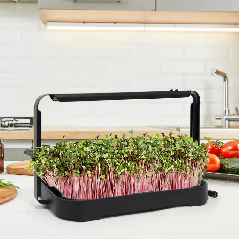 수경재배 트레이 실내 마이크로그린 씨앗 새싹 재배 시스 - Indoor Garden Kit 리뷰 및 가격