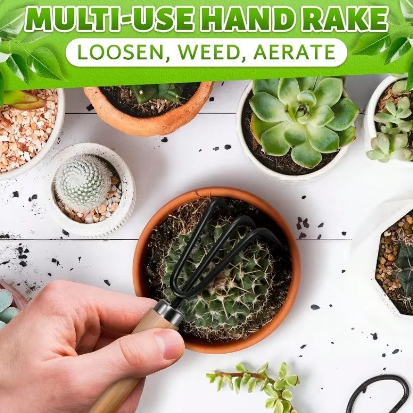 3개/세트 미니 정원 가꾸기 도구 세트, 휴대용 갈퀴, - Indoor Garden Kit 리뷰 및 가격